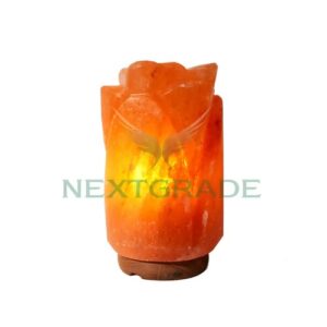 Natural Pink Salt Lamp Rose Flower Design - Wholesale Prices