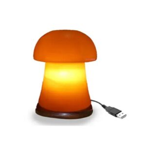 Himalayan Salt Lamp Mushroom MINI USB Night Light Wholesale