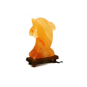 Premium Quality Himalayan Salt Lamp Dolphin Shape Sale