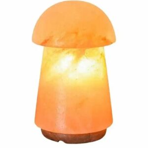 Mushroom Shape Himalayan Salt Lamp | Best Quality Wholesale