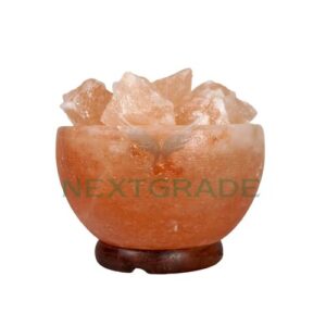 Authentic Himalayan Pink Salt Lamp Bowl at Wholesale Prices