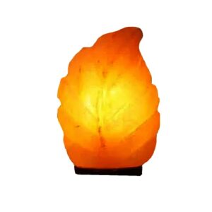 Tree Shape Himalayan Salt Lamp | Natural Color Home Decor