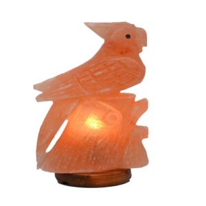 Premium Hand Carved Himalayan Salt Lamp Bird - Wooden Base