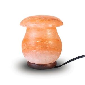 Himalayan Salt Lamp Vase MINI USB Night Light | Pink Salt