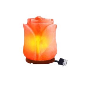 Lily Flower Himalayan Salt Lamp MINI USB Night Light