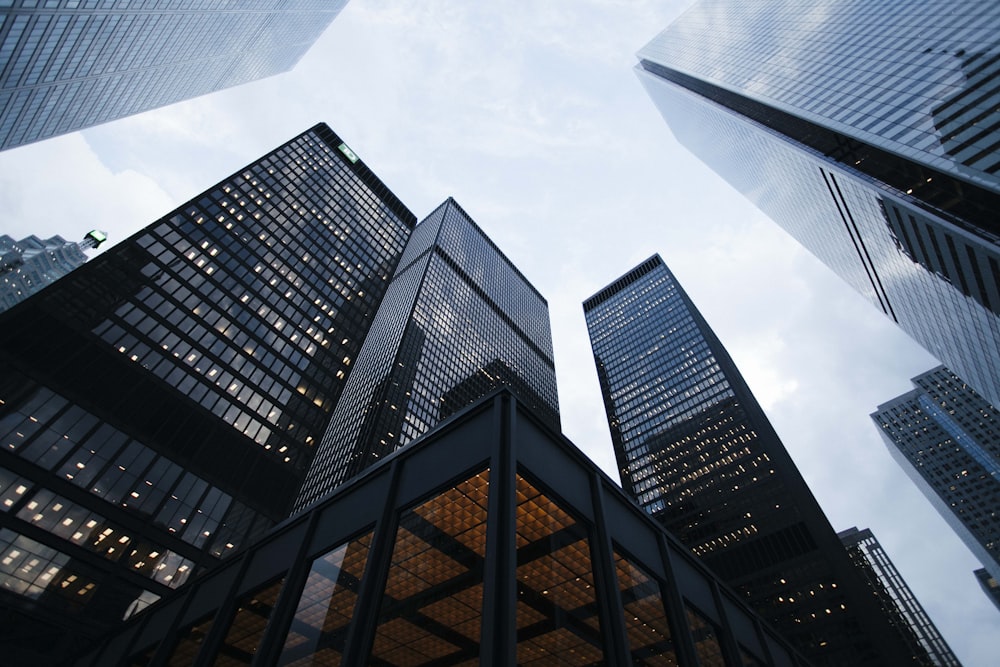 Institutional Reliability